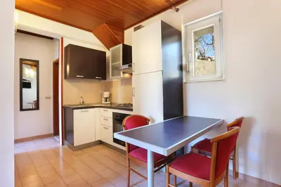 Kuhinja ili čajna kuhinja u objektu Apartments with parking space Brela, Makarska - 18495
