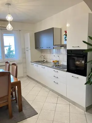 Kuhinja ili čajna kuhinja u objektu Apartment *Biba*