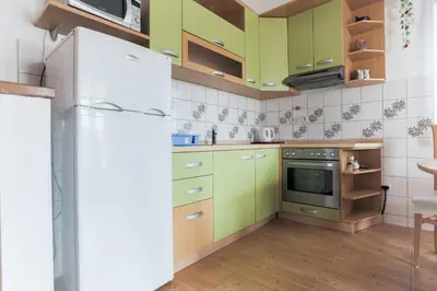 Kuhinja ili čajna kuhinja u objektu Apartments Goic