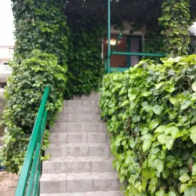 Green Oasis