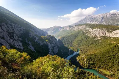 Priroda u blizini vila