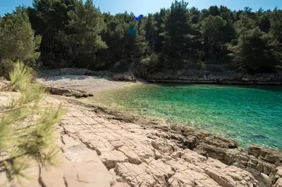 Priroda u blizini vikendica