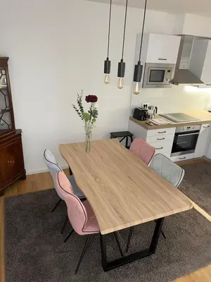 Kuhinja ili čajna kuhinja u objektu Apartment Leon