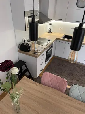 Kuhinja ili čajna kuhinja u objektu Apartment Leon