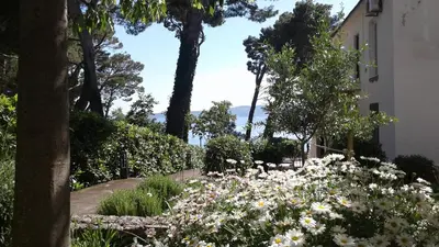 Vrt u objektu Villa Joška cottage apartment Brela