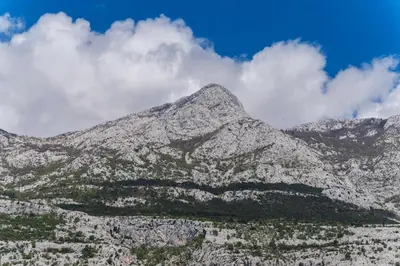 Pogled na planine ili pogled na planine iz apartmana
