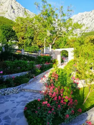 Pogled na planine ili pogled na planine iz apartmana