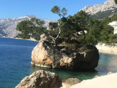 Priroda u blizini apartmana