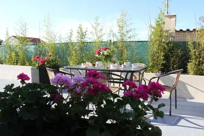 Vrt u objektu Calypso - newly equiped, with separate entrance and parking