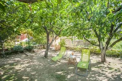 Vrt u objektu House with large garden right next to the river
