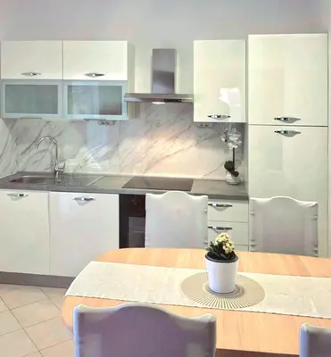Kuhinja ili čajna kuhinja u objektu Apartmani ANITA