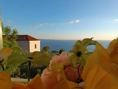 Priroda u blizini vila