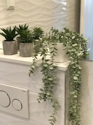 Tlocrt objekta Summer Fantasy Apartment