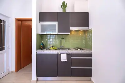 Kuhinja ili čajna kuhinja u objektu Hektorovic poolside apartments