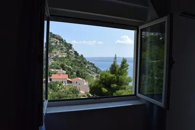 Priroda u blizini apartmana