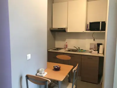 Kuhinja ili čajna kuhinja u objektu Apartments Nela