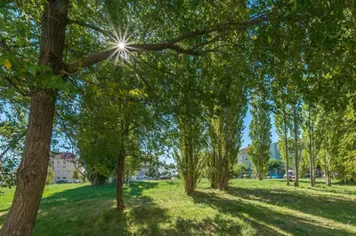 Vrt u objektu Apartment Ivana