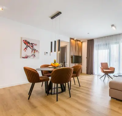TV i/ili zabavni centar u objektu Villa Braga a8