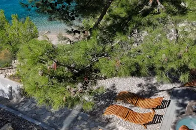 Priroda u blizini apartmana