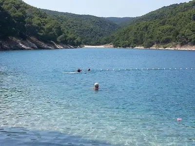 Priroda u blizini apartmana