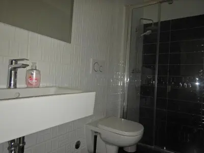 Kupaonica u objektu Studio apartment in Povlja with sea view, terrace, air conditioning, WiFi 3419-4