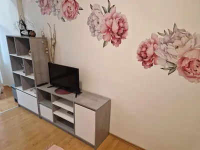 TV i/ili zabavni centar u objektu Apartments Dragan