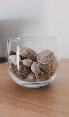Hrana u apartmanu ili u blizini
