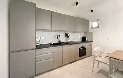 Kuhinja ili čajna kuhinja u objektu Holiday Home Grljevacka Vi