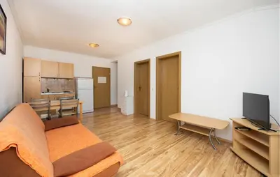 Kuhinja ili čajna kuhinja u objektu Apartment Vojskovo I