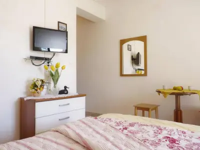 TV i/ili zabavni centar u objektu Apartments and Room Marin