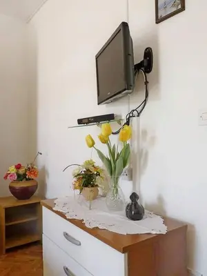 TV i/ili zabavni centar u objektu Apartments and Room Marin
