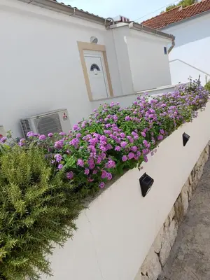 Vrt u objektu Sunny beach apartment Lavica