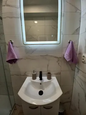 Kupaonica u objektu Luxury apartment Cvita