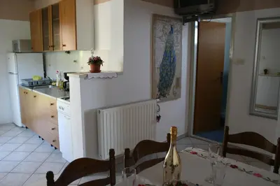 Kuhinja ili čajna kuhinja u objektu Apartments Jakšić