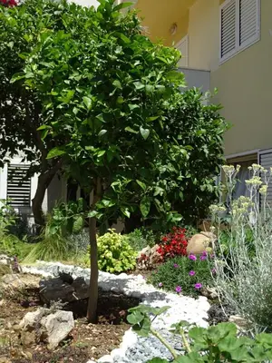 Vrt u objektu 6-pax Apartment ON THE BEACH - TOP Floor, Great sea view, Parking ensured