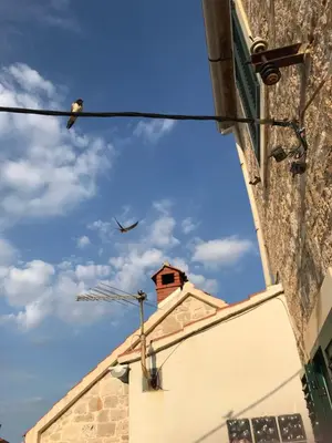 Tlocrt objekta Studio Apartman LENESTA