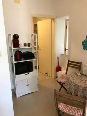 Kuhinja ili čajna kuhinja u objektu Studio Apartman LENESTA