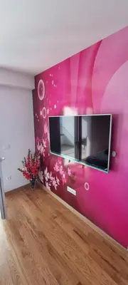 TV i/ili zabavni centar u objektu Apartman Natali