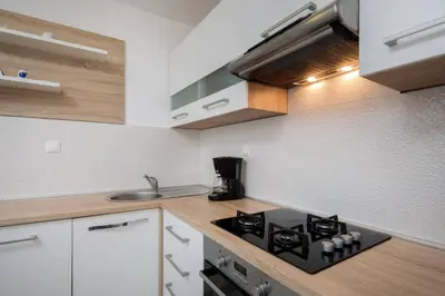 Kuhinja ili čajna kuhinja u objektu Pavao Apartments