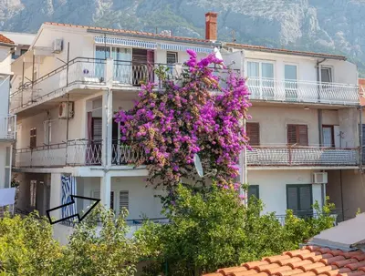 Pogled na planine ili pogled na planine iz apartmana