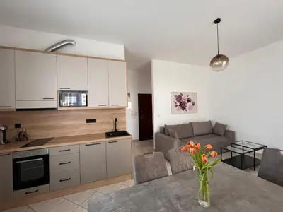 Kuhinja ili čajna kuhinja u objektu Apartment Oleander