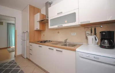 Kuhinja ili čajna kuhinja u objektu Apartment Tina