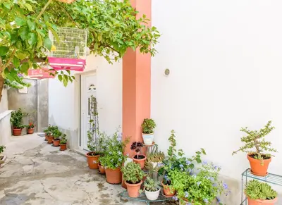 Vrt u objektu Apartman Lu
