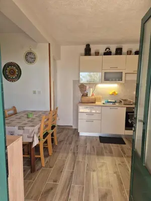 Kuhinja ili čajna kuhinja u objektu House Tomy