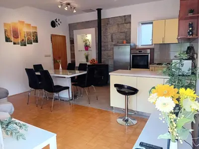 Kuhinja ili čajna kuhinja u objektu APARTMAN Josipa Slime