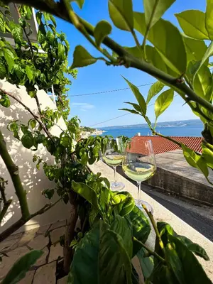 Priroda u blizini apartmana
