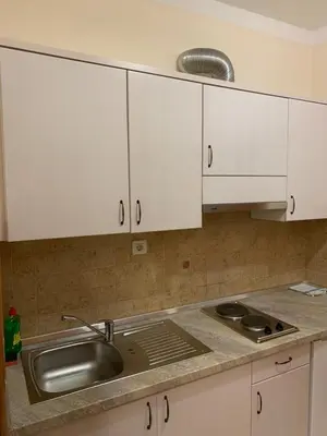 Kuhinja ili čajna kuhinja u objektu Apartmani Dubrava