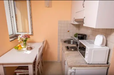 Kuhinja ili čajna kuhinja u objektu Apartmani Dubrava