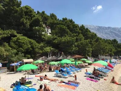Priroda u blizini apartmana