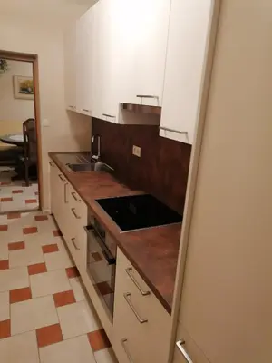 Kuhinja ili čajna kuhinja u objektu Apartmani Villa Bose
